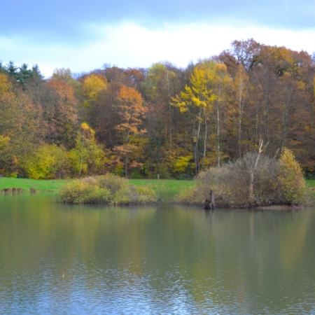 Agrandir l'image