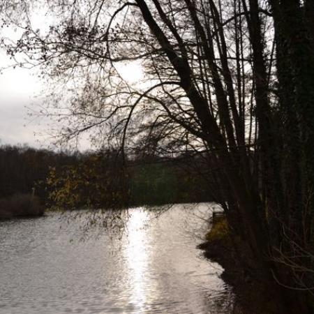 Agrandir l'image