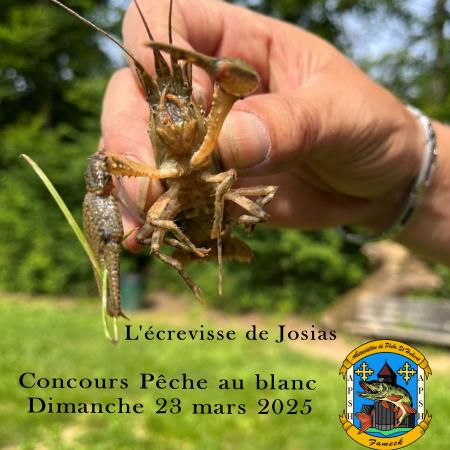 Agrandir l'image